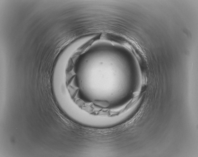 X0000116140881200912071241