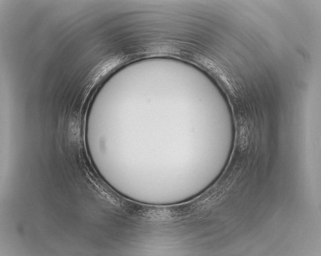 X0000116140882200912071241