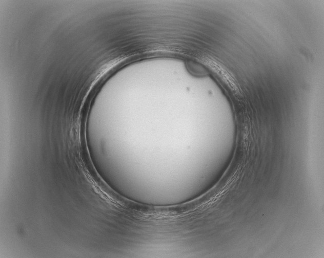 X0000116140884200912071241