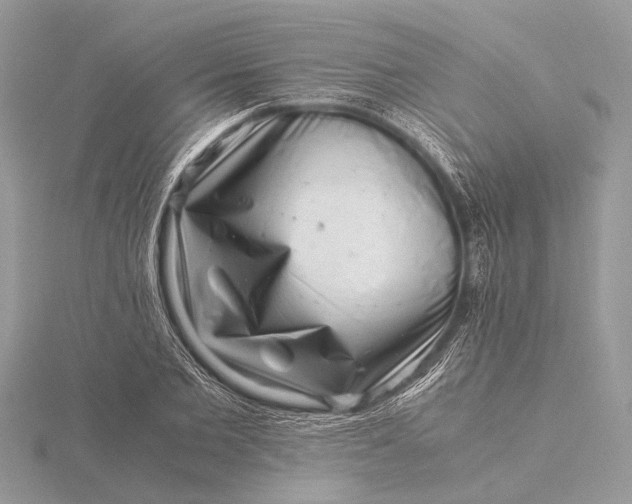 X0000116140885200912071241