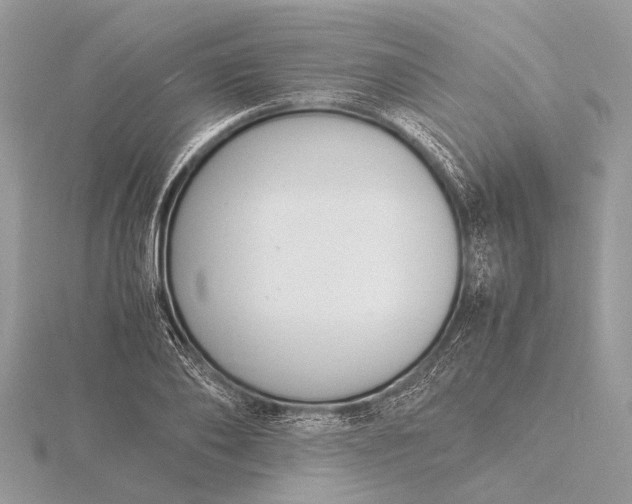 X0000116140886200912071241