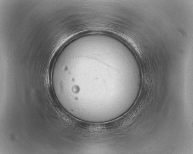 X0000116140887200912071241