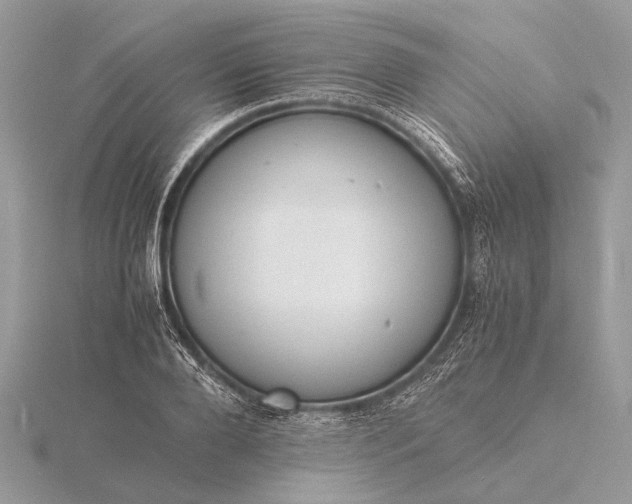 X0000116140888200912071241