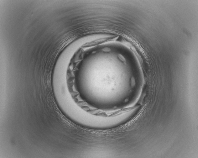 X0000116140889200912071241