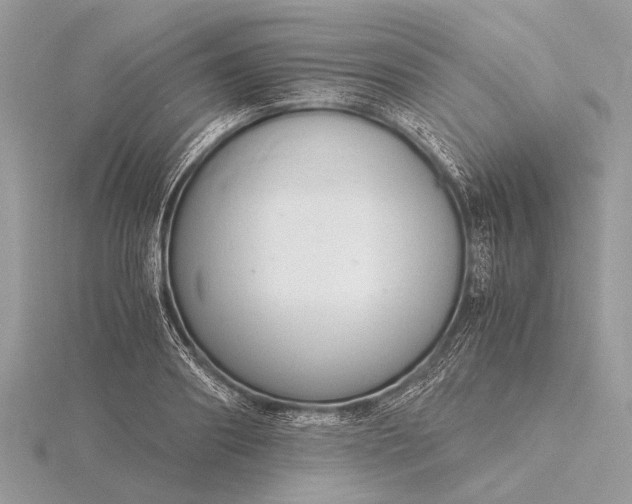 X0000116140890200912071241