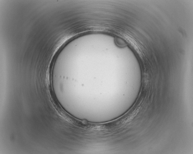 X0000116140891200912071241