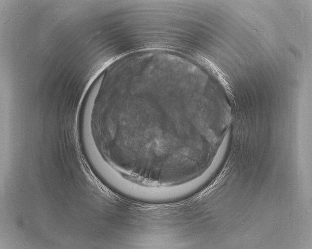 X0000116140892200912071241