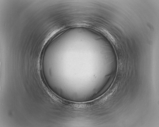 X0000116140893200912071241