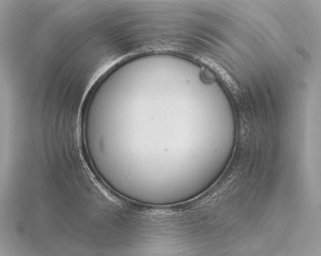 X0000116140894200912071240