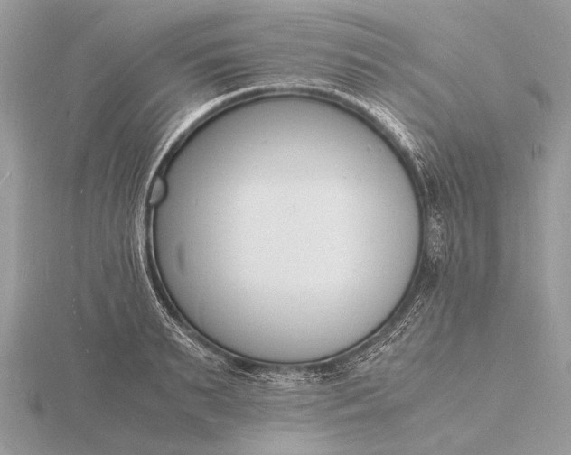 X0000116140895200912071240