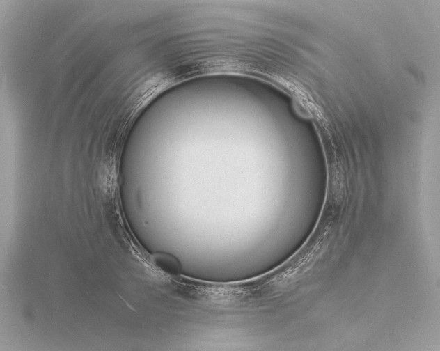 X0000116140897200912071240