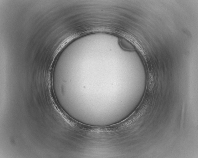 X0000116140898200912071240