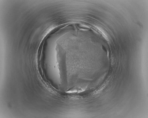 X0000116140899200912071240