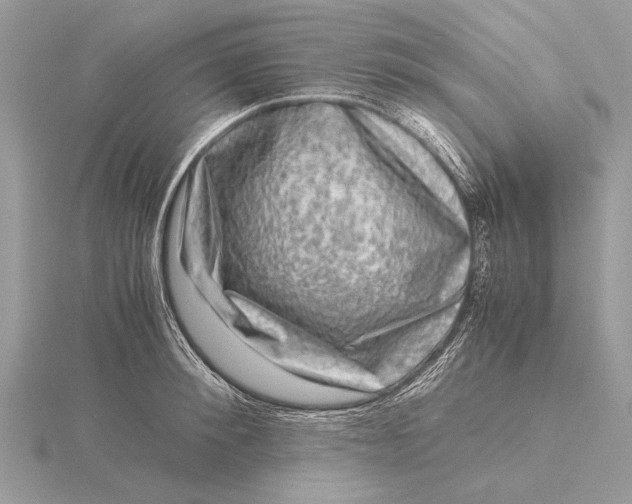 X0000116140900200912071240