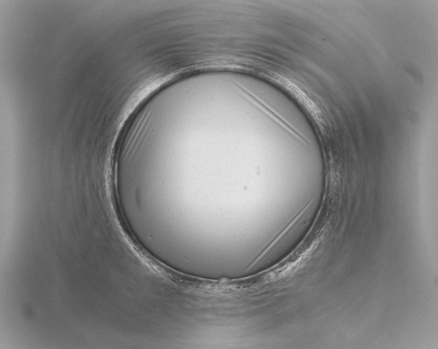 X0000116140901200912071240