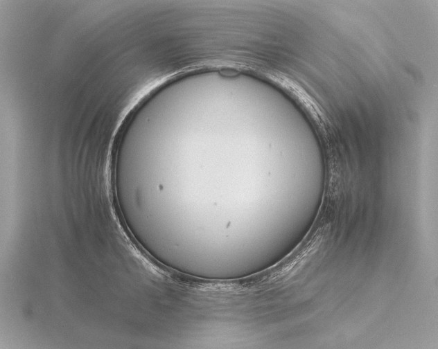 X0000116140902200912071240