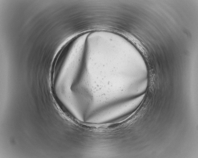 X0000116140904200912071240