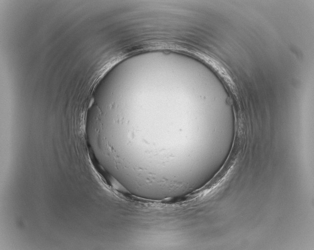 X0000116140905200912071240