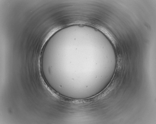 X0000116140906200912071240