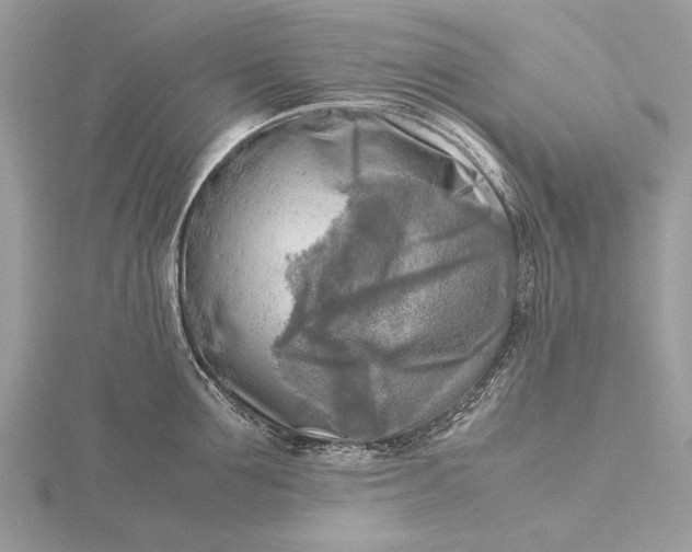 X0000116140907200912071240