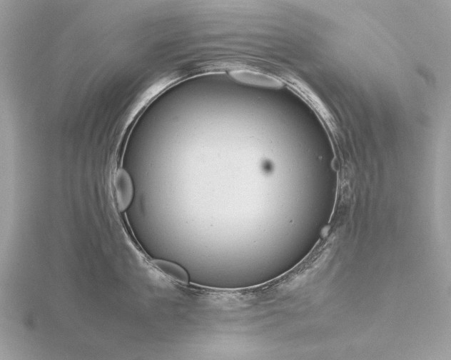 X0000116140909200912071240