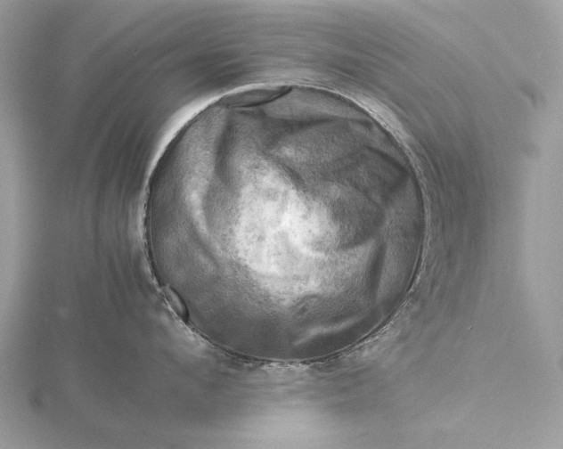 X0000116140912200912071240