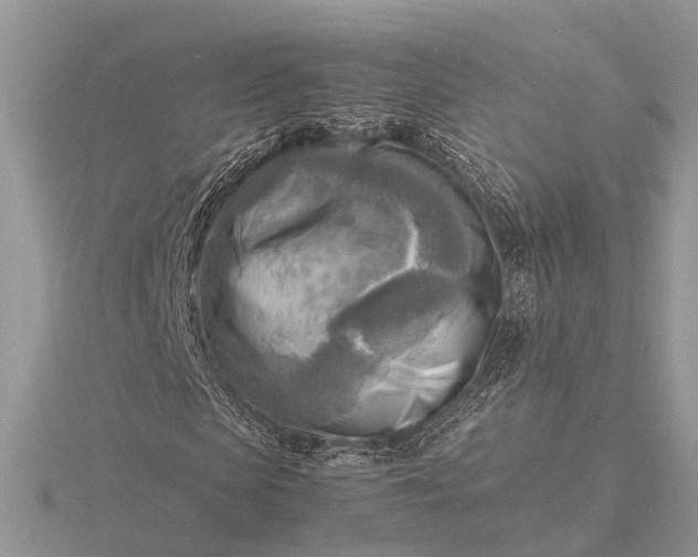 X0000116140913200912071240