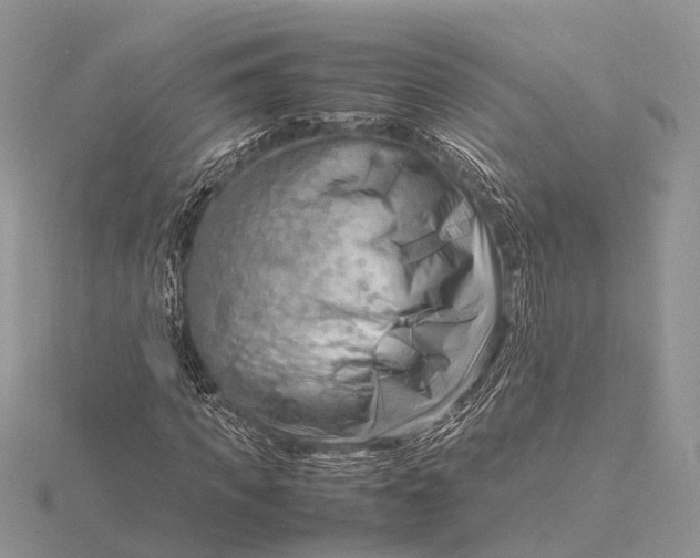 X0000116140917200912071240