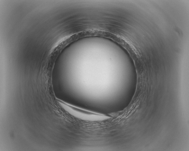 X0000116140919200912071240