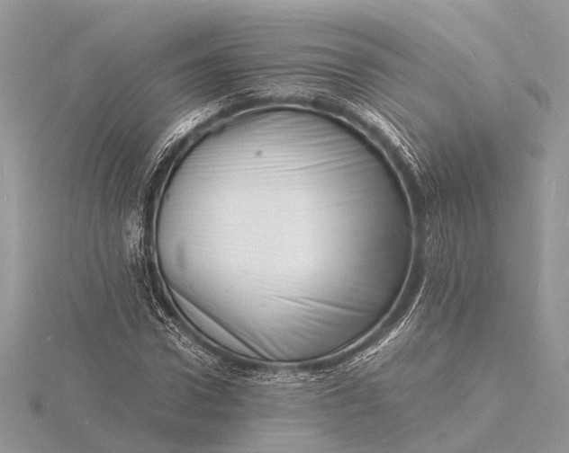 X0000116140922200912071240