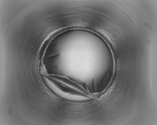 X0000116140923200912071240