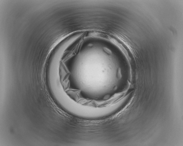 X0000116140925200912071240