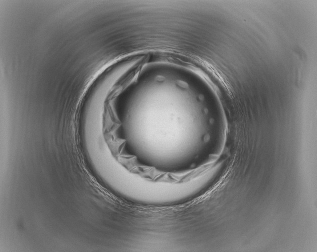 X0000116140926200912071240