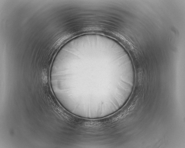 X0000116140929200912071240