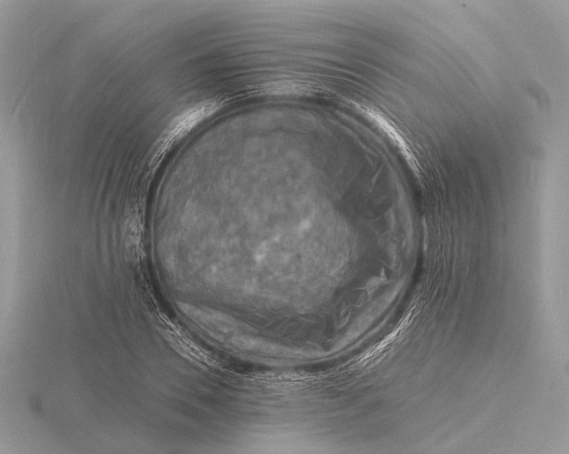 X0000116140930200912071240