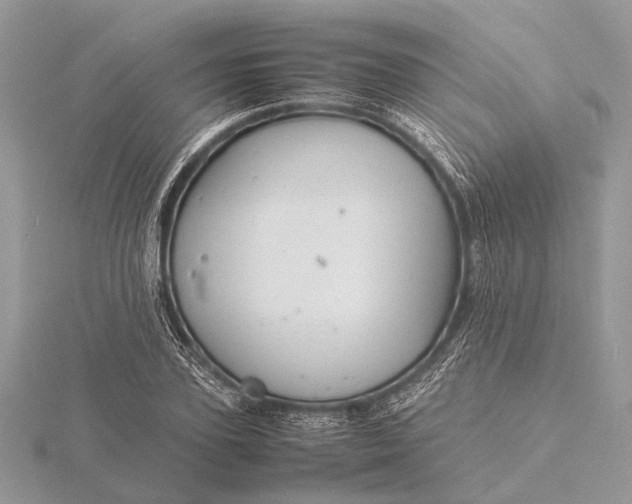 X0000116140931200912071240