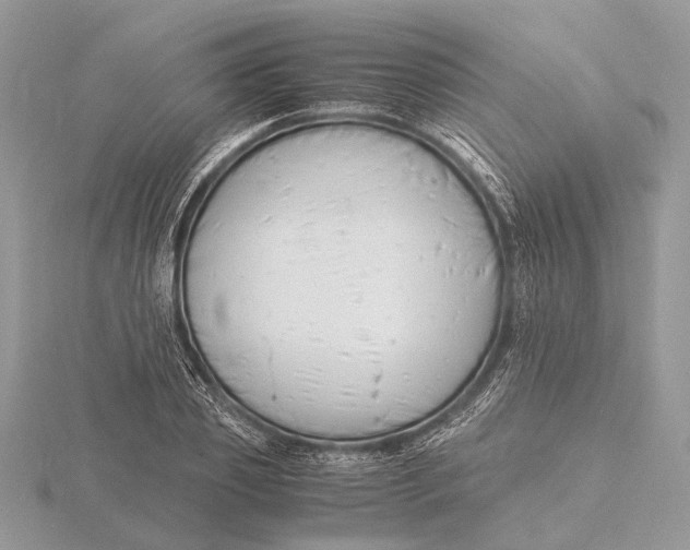 X0000116140933200912071240