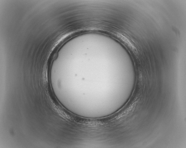 X0000116140934200912071240