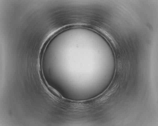 X0000116140935200912071240