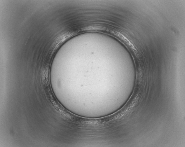 X0000116140937200912071240