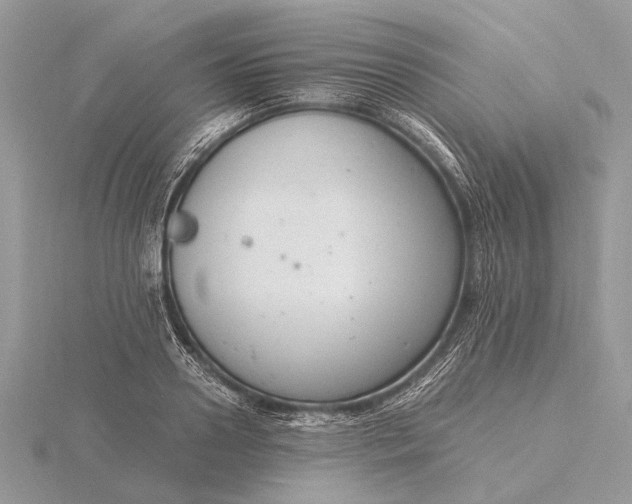 X0000116140938200912071240