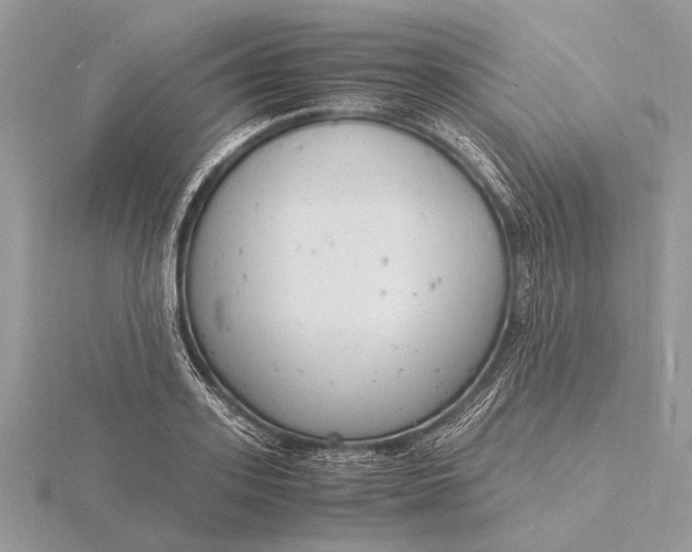 X0000116140939200912071240