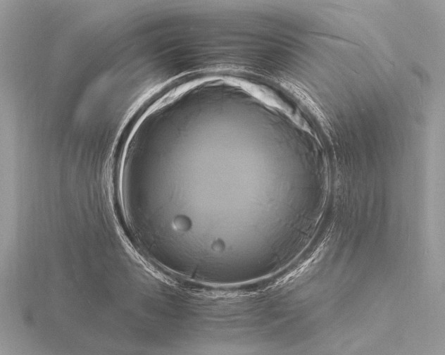 X0000116140941200912071240