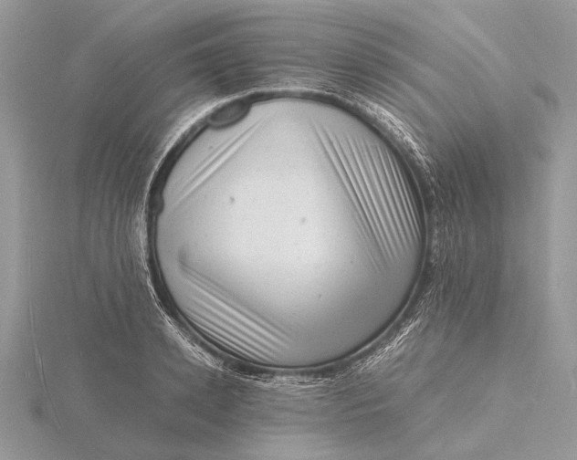 X0000116140942200912071240