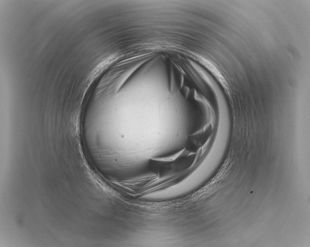 X0000116140946200912071240