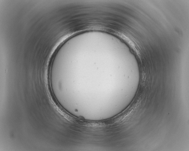 X0000116140947200912071240