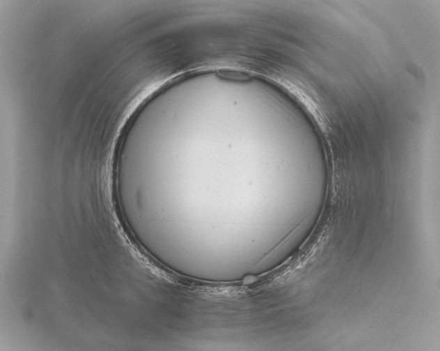 X0000116140949200912071240