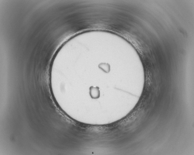 X0000116140950200912071240