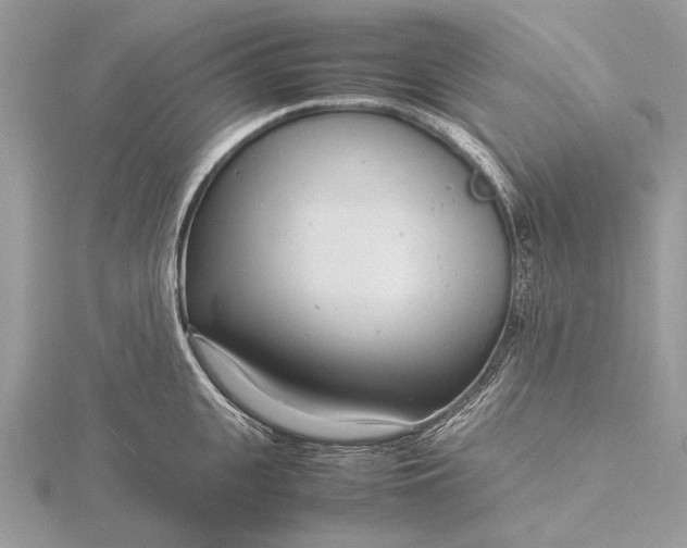 X0000116140951200912071240