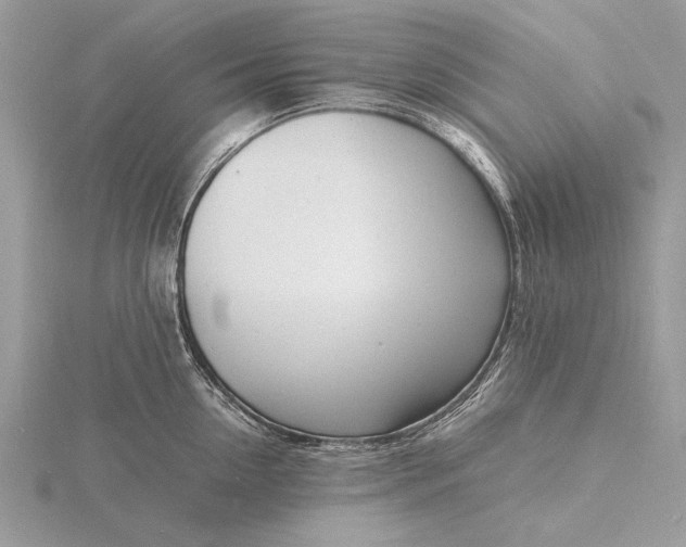 X0000116140954200912071240